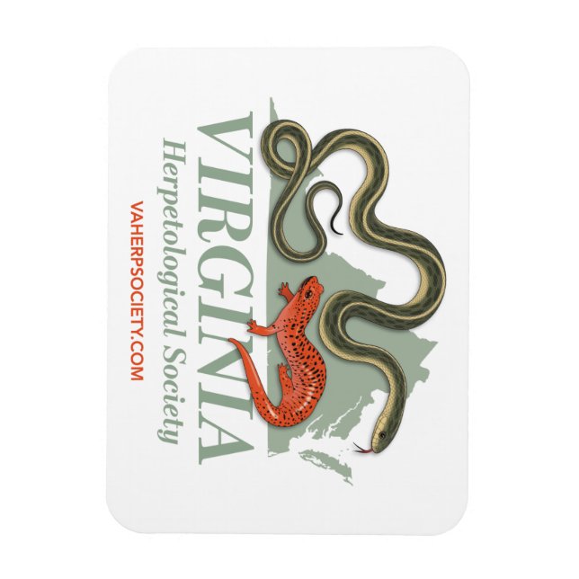 VHS Logo Magnet (Vertical)