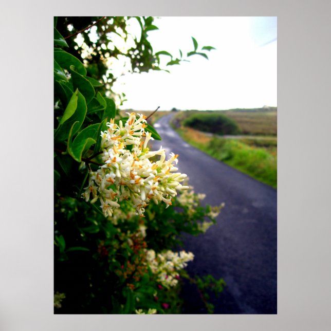 Via Floral Poster (Front)