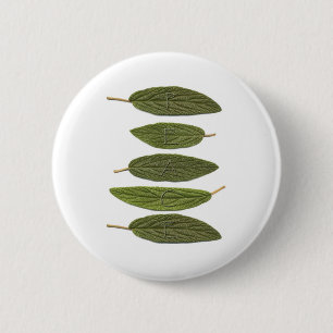 VIBIRNUM leaves PEACE 6 Cm Round Badge