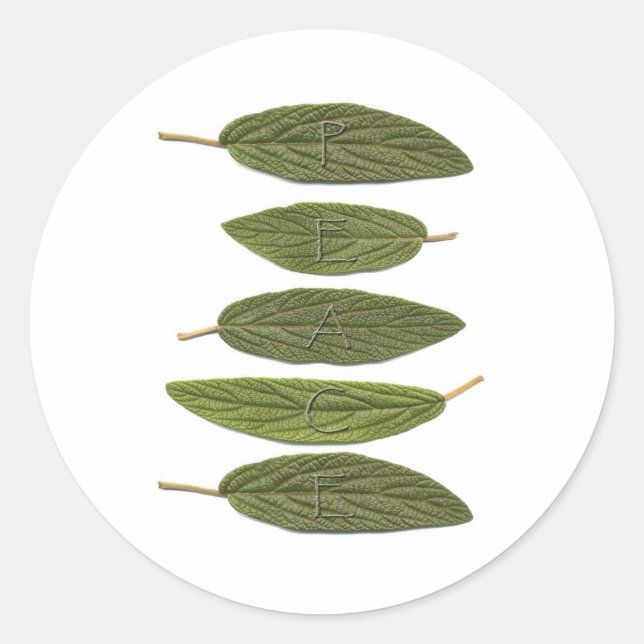 VIBIRNUM leaves PEACE Classic Round Sticker (Front)