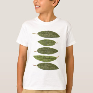 VIBIRNUM leaves PEACE T-Shirt