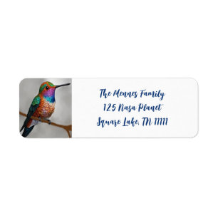 Vibrant Allen’s Hummingbird Painting