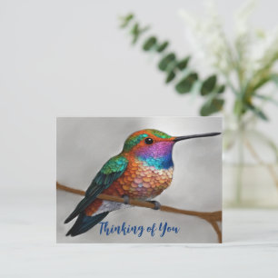 Vibrant Allen’s Hummingbird Painting Postcard