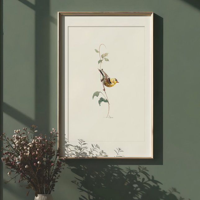 Vibrant American Goldfinch Watercolor Art Poster (Creator Uploaded)