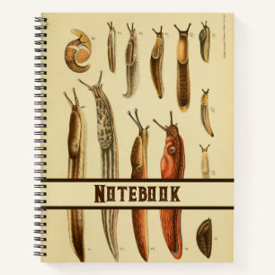 Vibrant Antique Slug Illustration Natural History Notebook