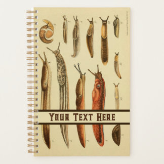Vibrant Antique Slug Illustration Natural History  Planner