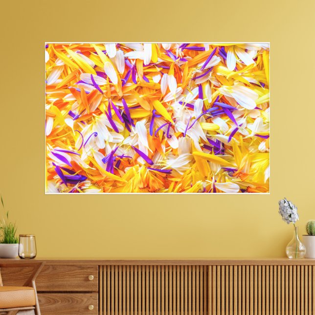 Vibrant Array of Colourful petals Showcasing Rich  Canvas Print (Insitu(LivingRoom))
