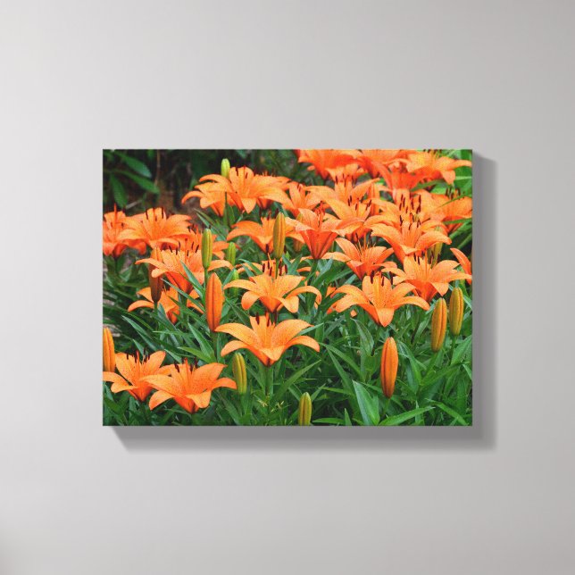 Vibrant Asian Lilies  Canvas Print (Front)