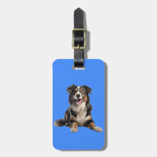 Vibrant Australian Shepherd Dog   Luggage Tag