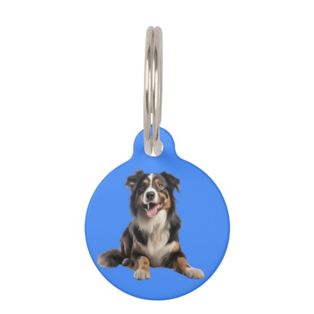 Vibrant Australian Shepherd Dog | Pet Tag (Front)