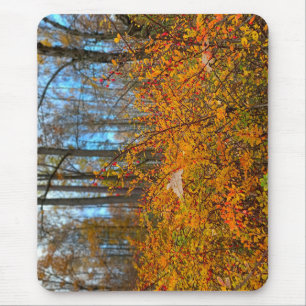 Vibrant Autumn Forest Hike - Golden Leaves & Wild Mouse Mat