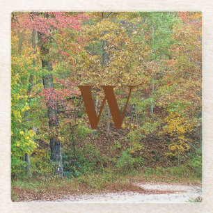 Vibrant Autumn Leaves Mountain Road Glass Coaster