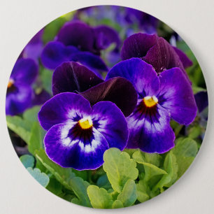 Vibrant Beautiful Purple Poppy Flowers Photograph 6 Cm Round Badge
