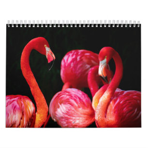 Vibrant Black Pink Flamingos Calendar