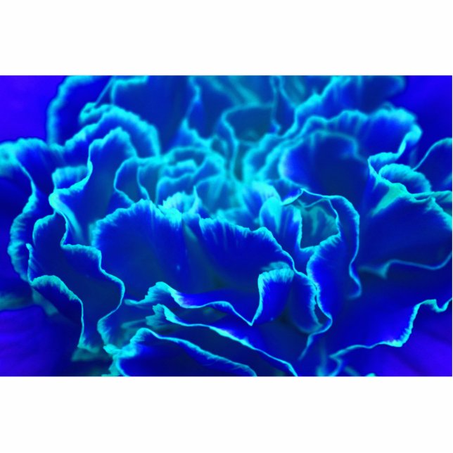 Vibrant Blue and Teal Carnation Flower Photo Sculpture Magnet (Front)