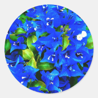 Vibrant Blue Bougainvillea Flowers Classic Round Sticker