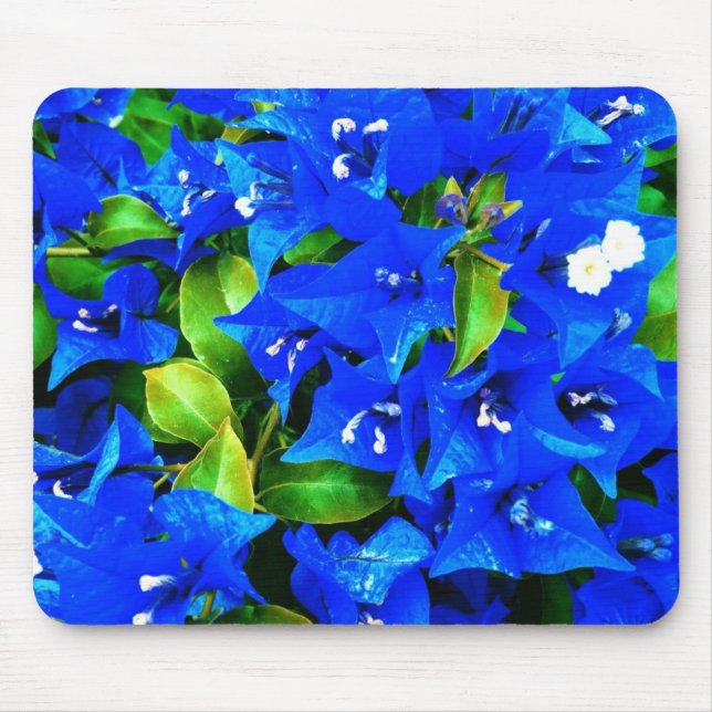 Vibrant Blue Bougainvillea Flowers Mouse Mat (Front)