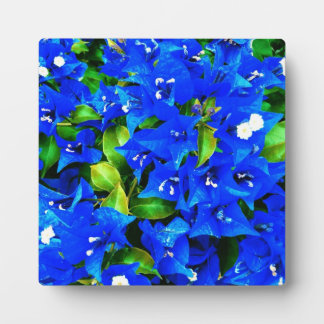 Vibrant Blue Bougainvillea Flowers Plaque