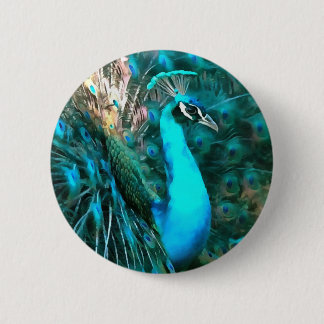 Vibrant Blue Peacock In With Fanned Tail 6 Cm Round Badge