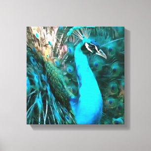 Vibrant Blue Peacock In With Fanned Tail Canvas Print