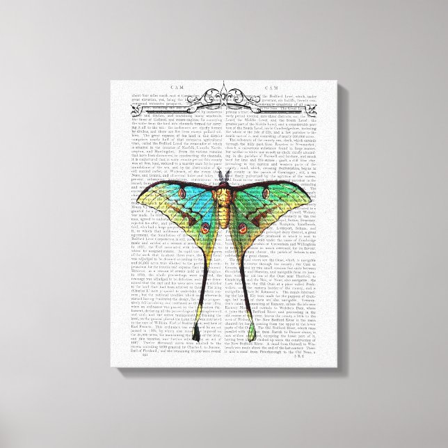 Vibrant Butterfly Canvas Print (Front)