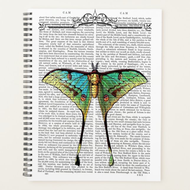 Vibrant Butterfly Planner (Front)