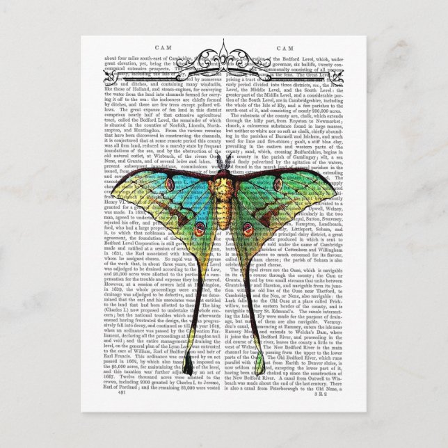 Vibrant Butterfly Postcard (Front)