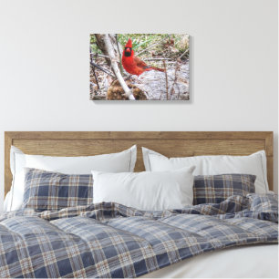 Vibrant Cardinal Canvas Print
