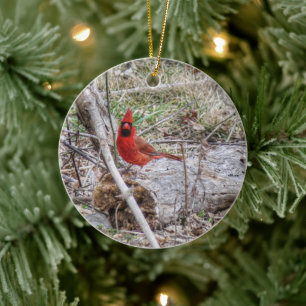 Vibrant Cardinal Ceramic Tree Decoration