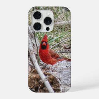 Vibrant Cardinal iPhone 15 Pro Case