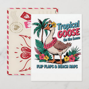 Vibrant Cassowary Bird Art Tropical Jungle Illustr Holiday Postcard