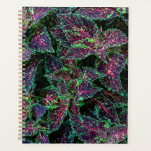 Vibrant Coleus Leaves Pattern.