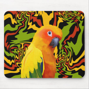 Vibrant Colorful Sun Conure Parrot Mouse Mat