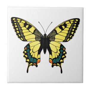 vibrant colour butterfly tile