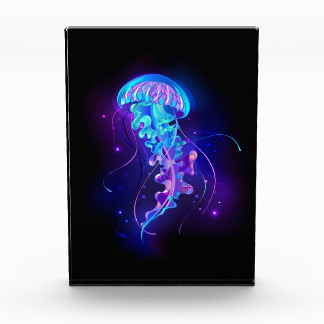 Vibrant Colour Glowing Jellyfish Photo Block (Front)