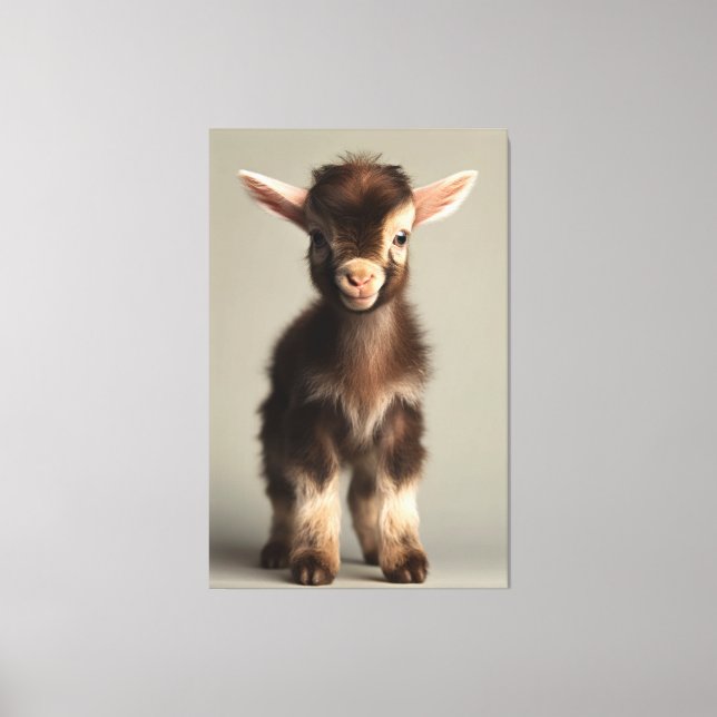 Vibrant Coloured Baby Goat Full Portrait Canvas Print (Front)