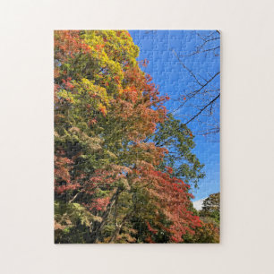 Vibrant Coloured Maples Jigsaw Puzzle