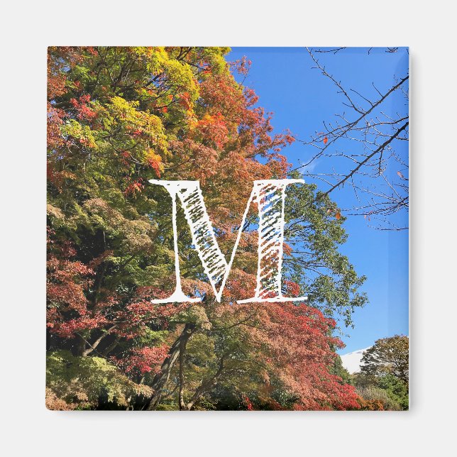Vibrant Coloured Maples Magnet (Front)