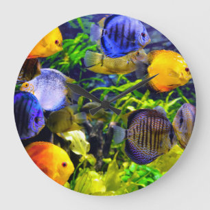 Vibrant Colourful Aquatic Tropical Sea Fish Large Clock