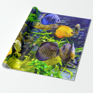 Vibrant Colourful Aquatic Tropical Sea Fish Wrapping Paper