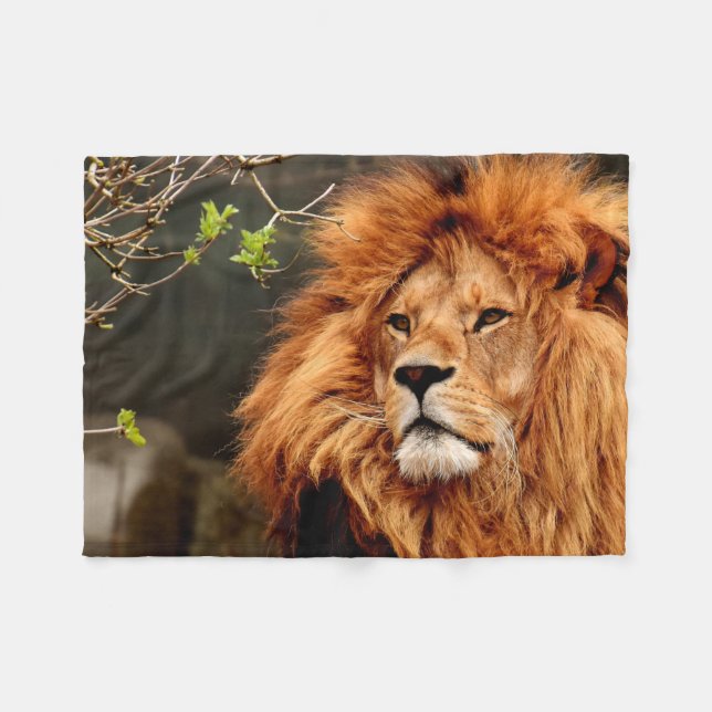 Vibrant colourful Close-up Lion picture Fleece Blanket (Front (Horizontal))