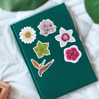 Vibrant Colourful Hand-Drawn Wildflower & Succulen