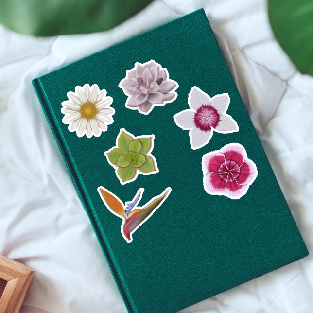 Vibrant Colourful Hand-Drawn Wildflower & Succulen (Creator Uploaded)