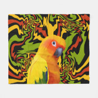 Vibrant Colourful Sun Conure Parrot
