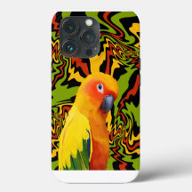 Vibrant Colourful Sun Conure Parrot