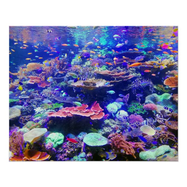 Vibrant Colourful Tropical Fish Aquarium Poster (Front)
