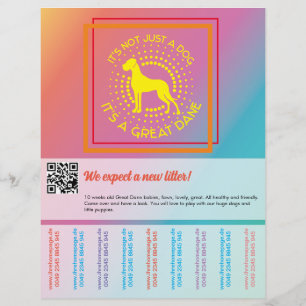 Vibrant colours selling flyer