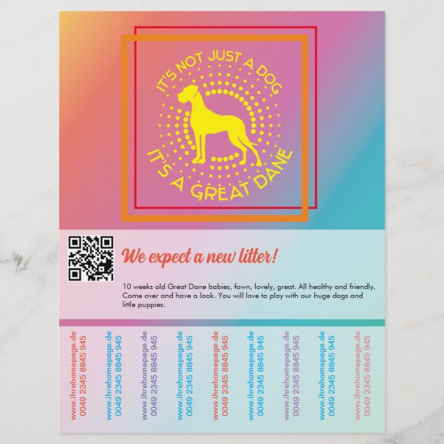 Vibrant colours selling flyer  (Front)