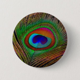 Vibrant Copper Peacock Feather 6 Cm Round Badge