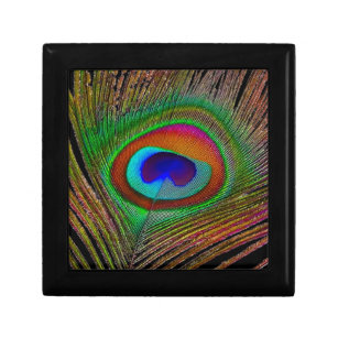 Vibrant Copper Peacock Feather Gift Box